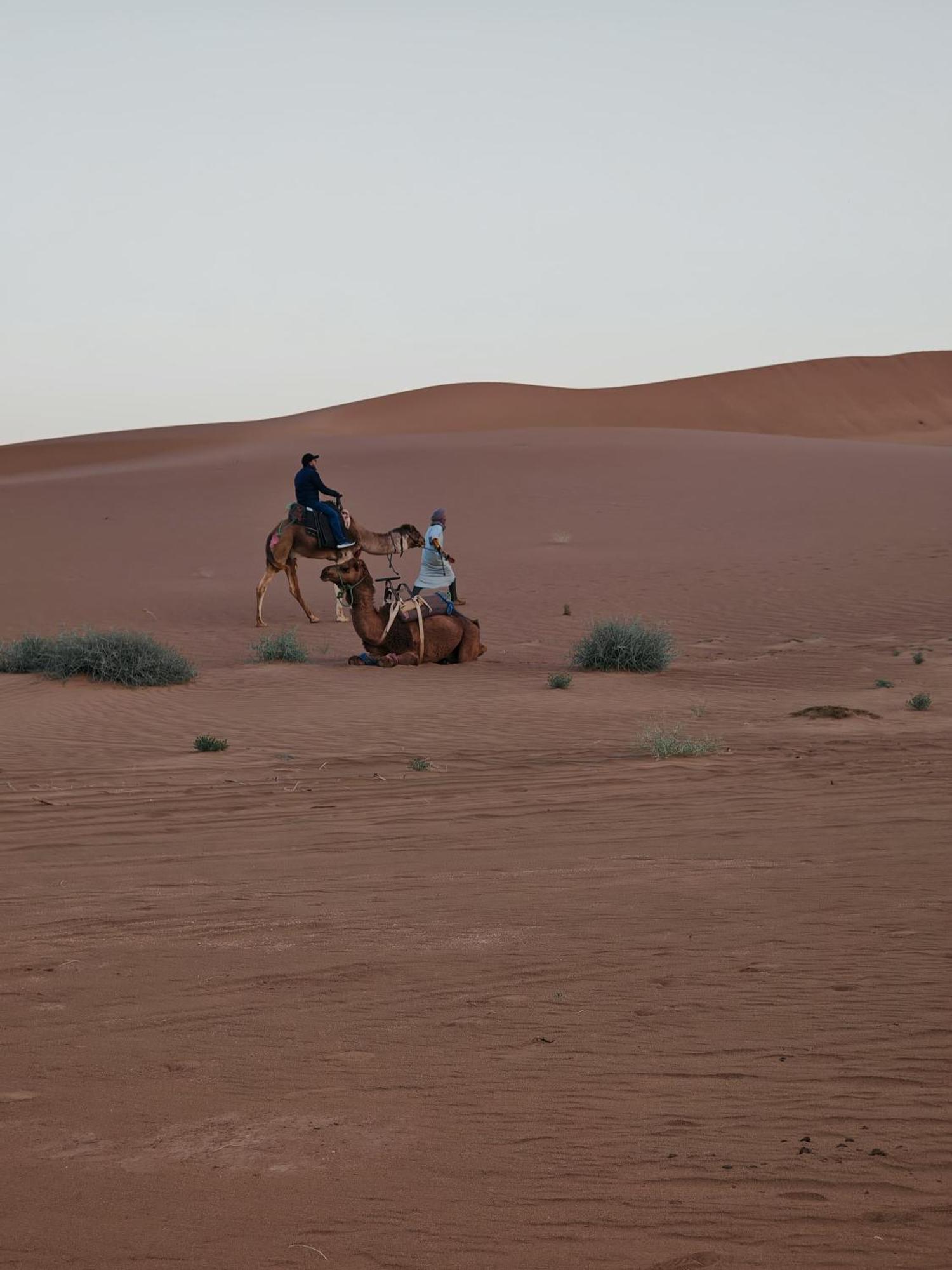 ホテル Bivouac Cote-Iriki Foum Zguid エクステリア 写真