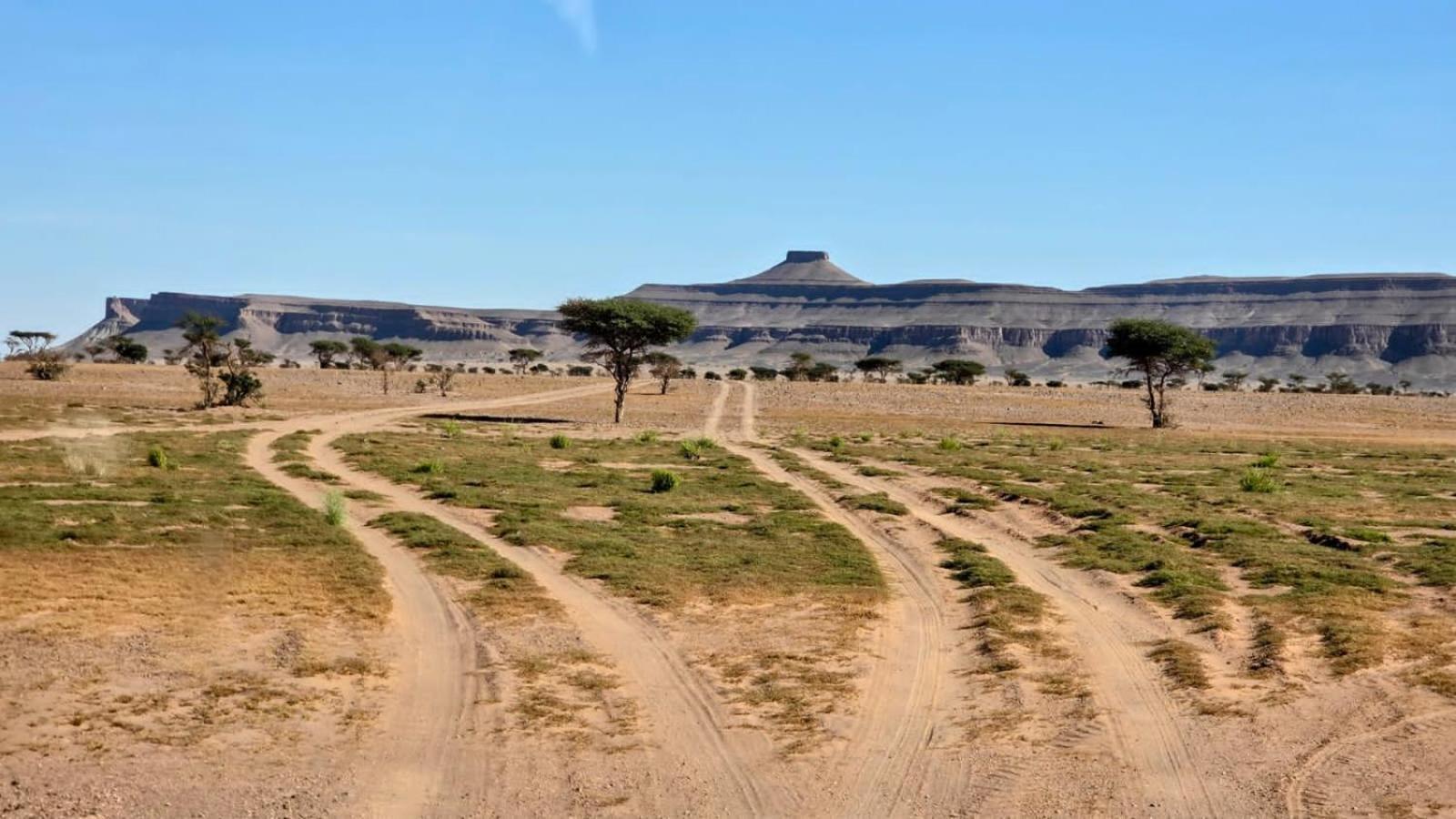 ホテル Bivouac Cote-Iriki Foum Zguid エクステリア 写真