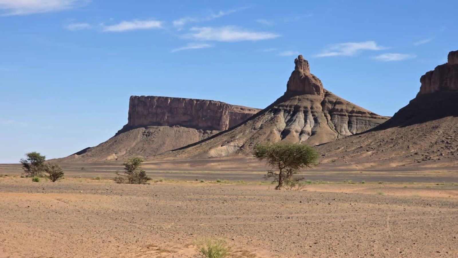 ホテル Bivouac Cote-Iriki Foum Zguid エクステリア 写真