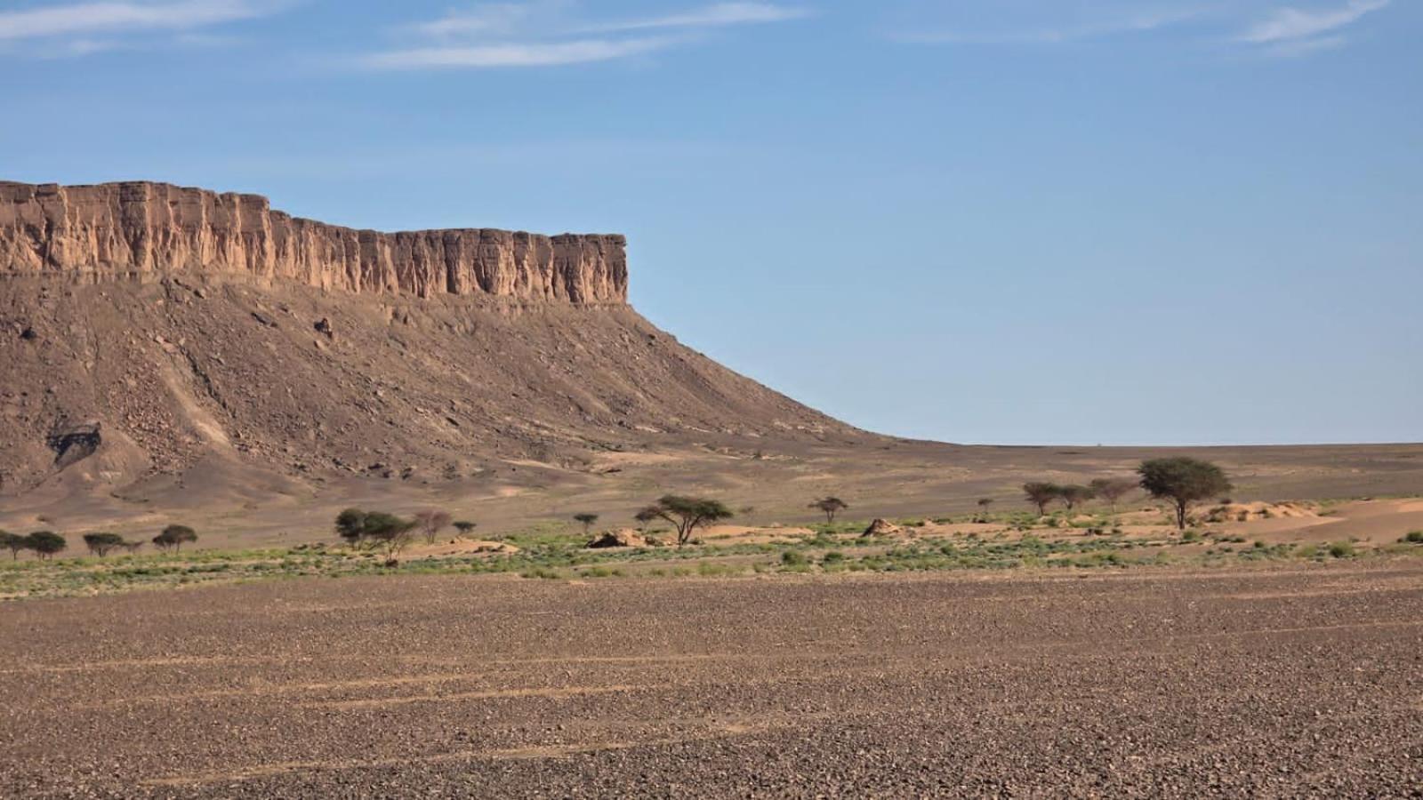 ホテル Bivouac Cote-Iriki Foum Zguid エクステリア 写真