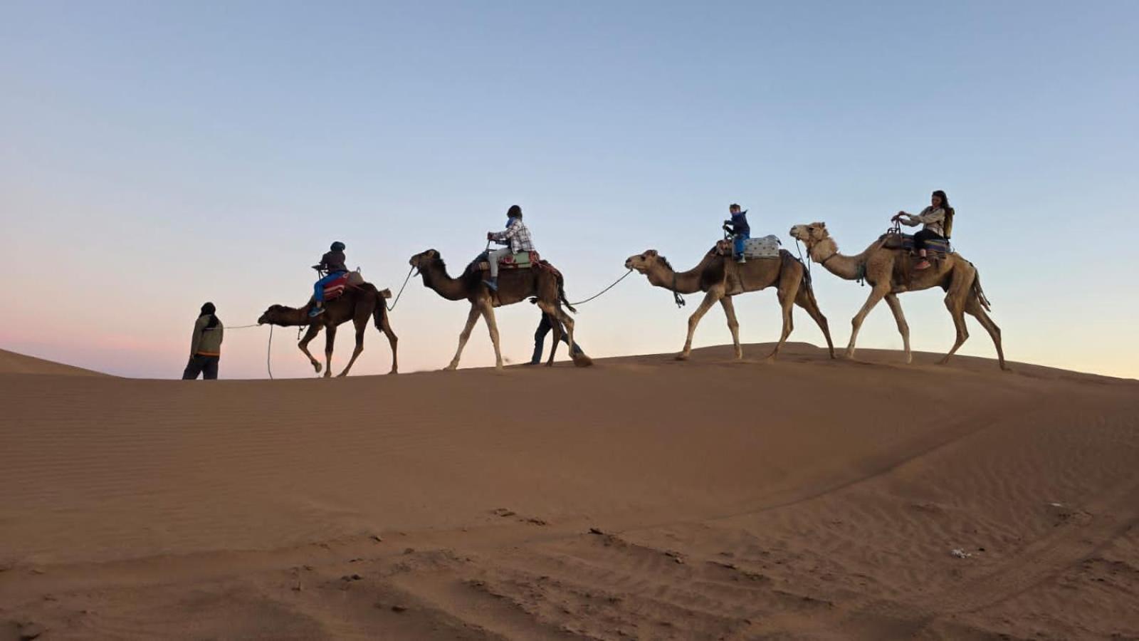 ホテル Bivouac Cote-Iriki Foum Zguid エクステリア 写真