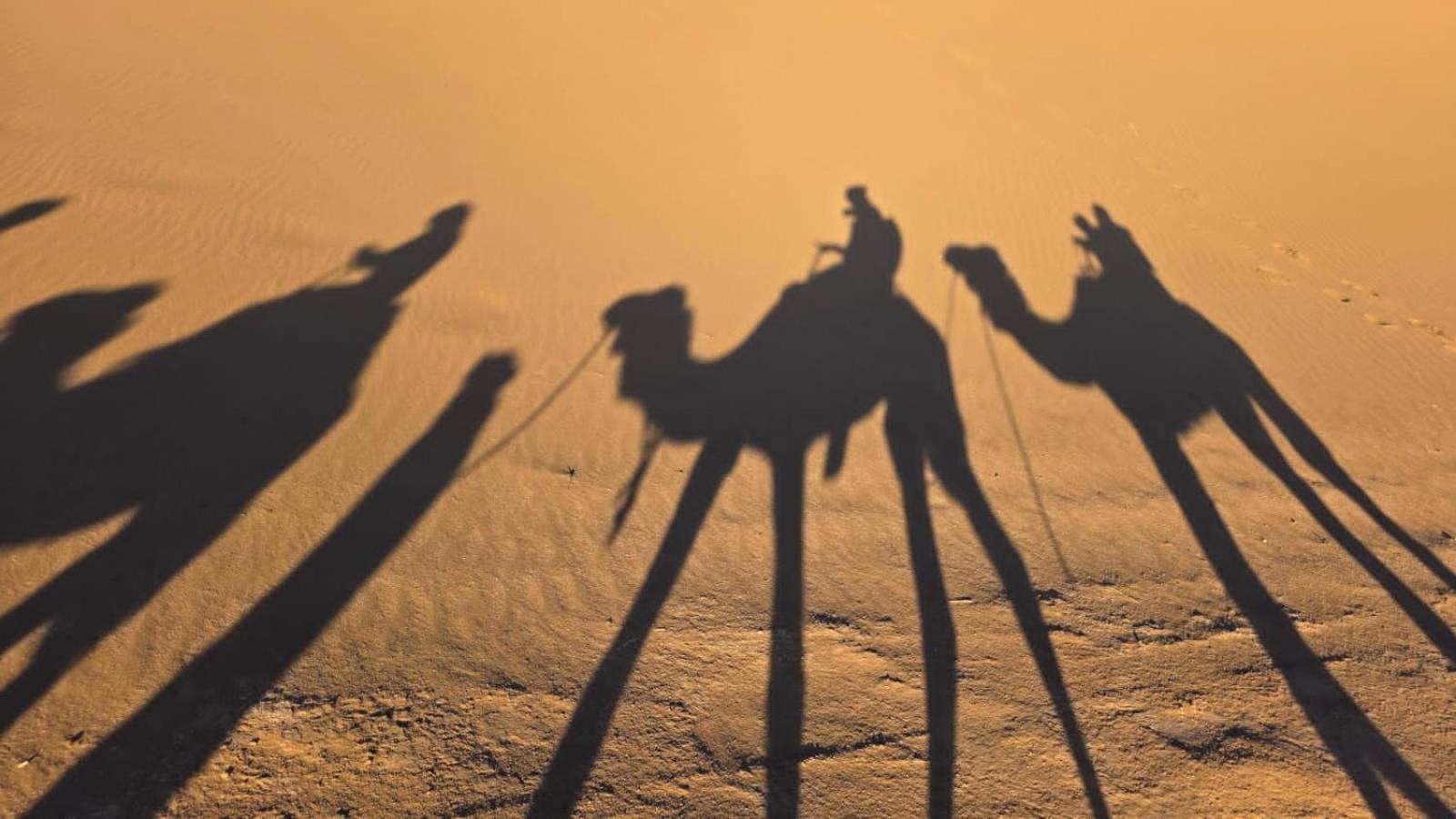 ホテル Bivouac Cote-Iriki Foum Zguid エクステリア 写真