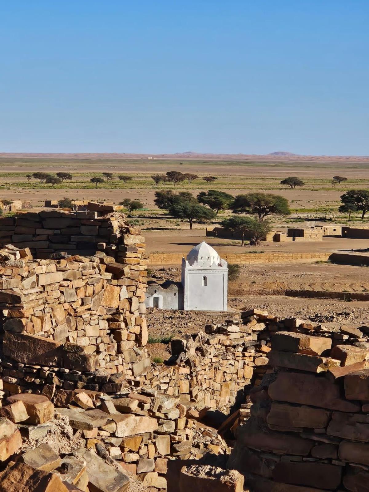ホテル Bivouac Cote-Iriki Foum Zguid エクステリア 写真