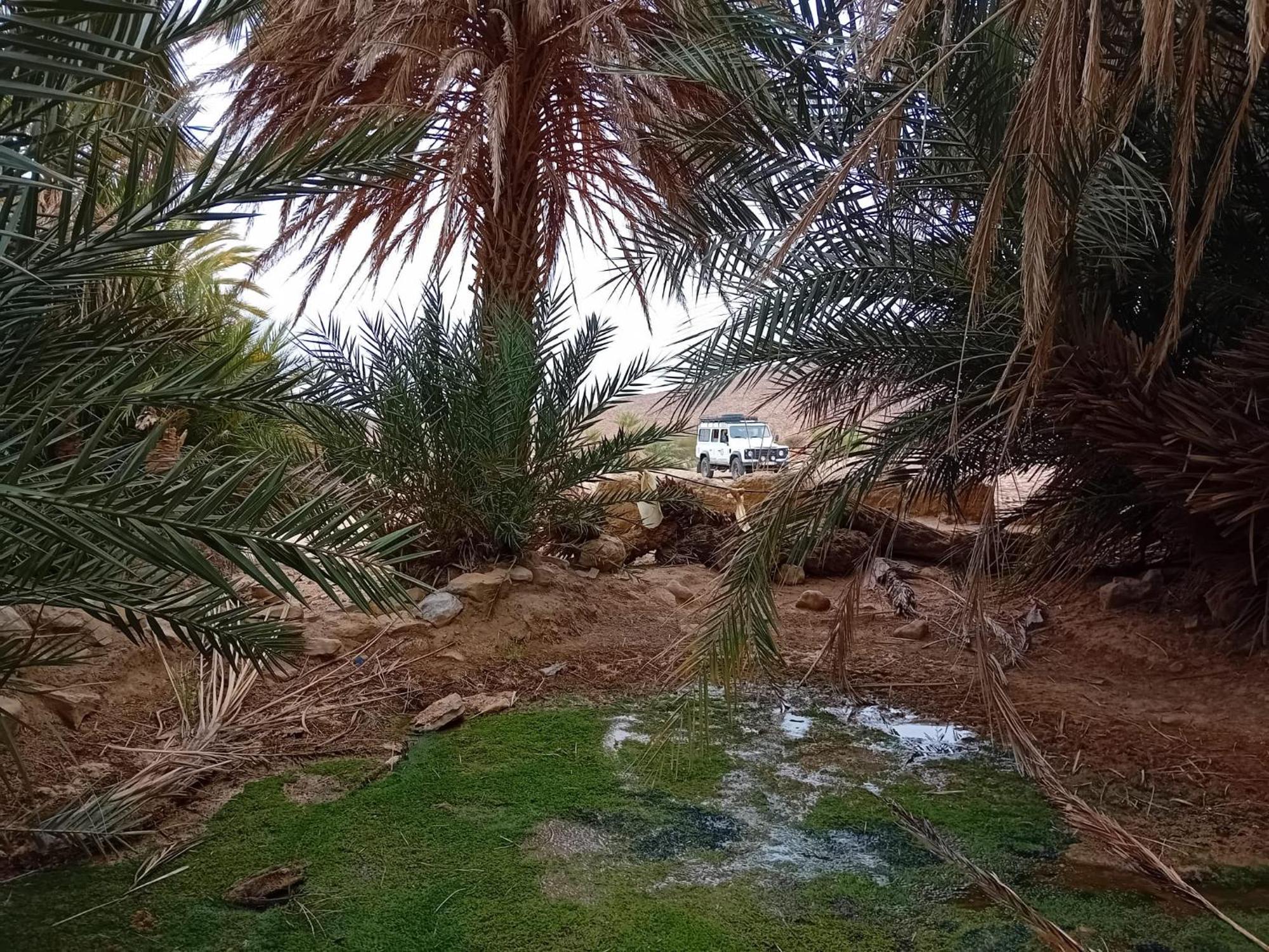 ホテル Bivouac Cote-Iriki Foum Zguid エクステリア 写真